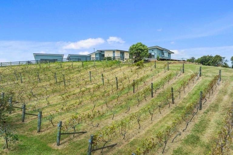 Vineyard Vacation Otel Mangawhai Dış mekan fotoğraf